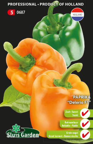 Sweet bell pepper Delerio F1 (Capsicum) 10 seeds